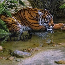 Схема вышивки «Отдых у водопоя»