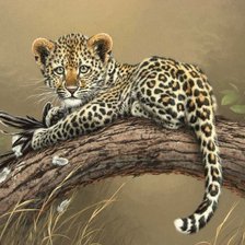 Схема вышивки «Детёныш леопарда»