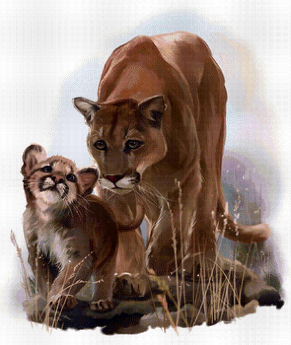 Львёнок с мамой - львы, львенок, львица, животные, рисунок, лев - предпросмотр