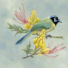 Схема вышивки «Лазоревка»