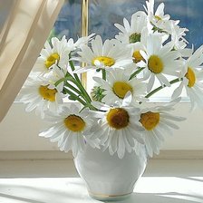 Схема вышивки «№1884542»