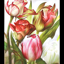 Схема вышивки «Серия "Тюльпаны"»