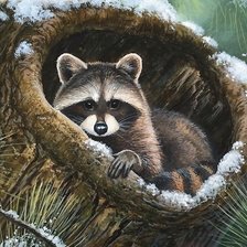 Схема вышивки «енот»