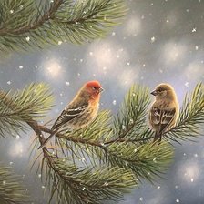 Схема вышивки «птицы»