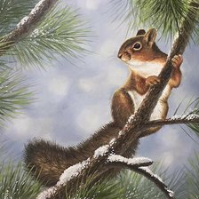 Схема вышивки «белка»