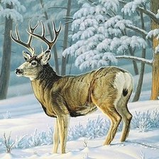 Схема вышивки «олень»