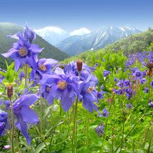 Схема вышивки «Горы Водосборы»