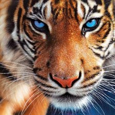 Схема вышивки «№1884783»