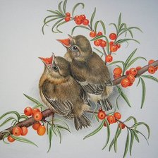 Схема вышивки «Птенчики»