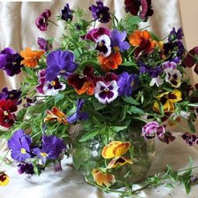 Схема вышивки «анютины глазки»