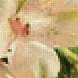 Предпросмотр схемы вышивки «Натюрморт» (№1885183)