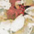 Предпросмотр схемы вышивки «розы» (№1885189)