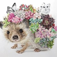 Схема вышивки «Ёжик»