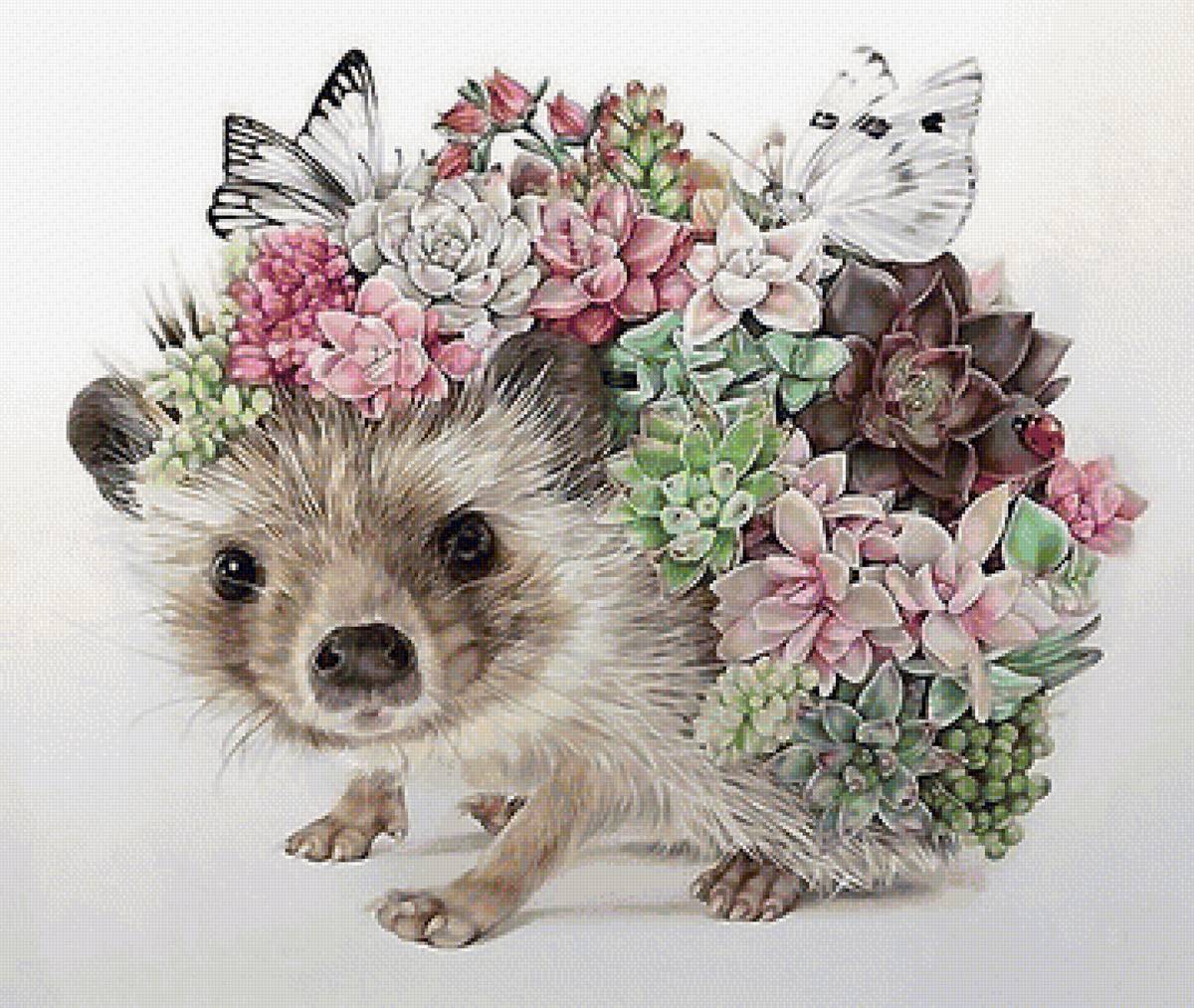 Ёжик - предпросмотр