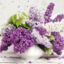 Схема вышивки «СИРЕНЬ»