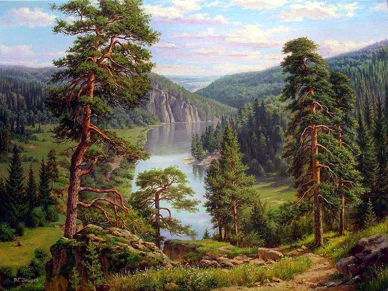 Сосновый лес - пейзаж, лес - оригинал