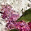 Предпросмотр схемы вышивки «Букет сирени» (№1885452)