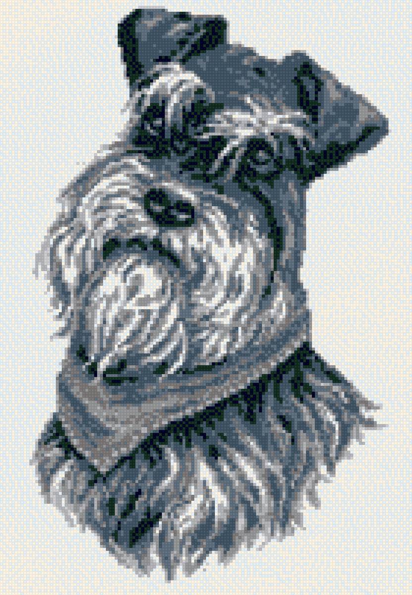 бобик - предпросмотр