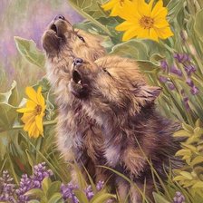 Схема вышивки «Волчата»