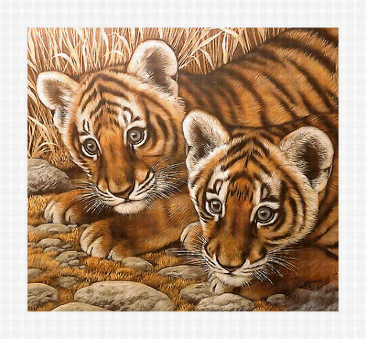 Серия "Хищники". Тигрята - животные, тигрята, хищники - предпросмотр