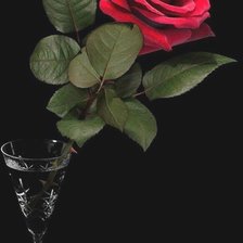 Схема вышивки «№1886228»