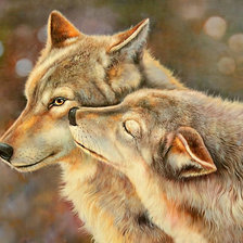 Схема вышивки «Серия "Хищники". Волки, пара»