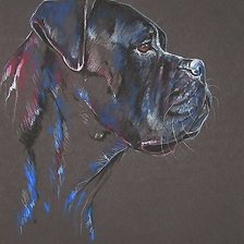 Схема вышивки «собака»