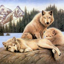 Схема вышивки «Волки»