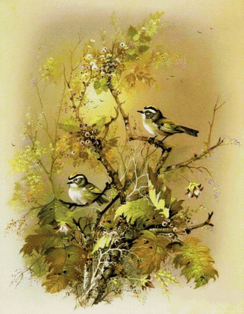 Птички - рисунок, птички, птицы - предпросмотр