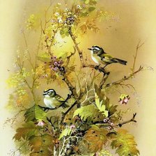 Схема вышивки «Птички»