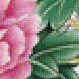 Предпросмотр схемы вышивки «Цветы» (№1886370)