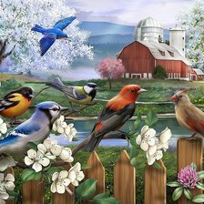 Схема вышивки «Птички»