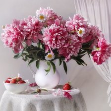 Схема вышивки «pivonie»