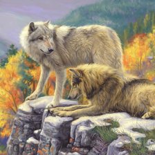 Схема вышивки «Пара волков»