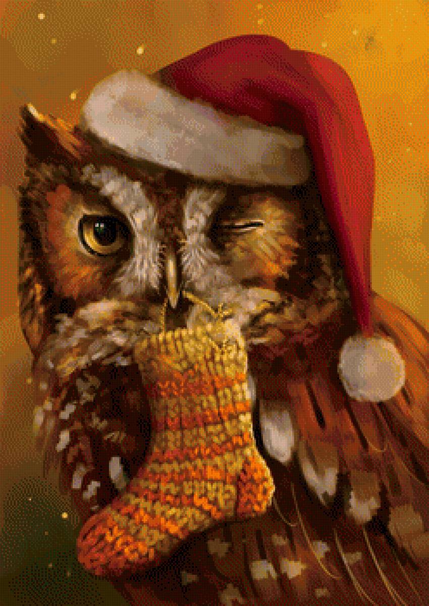 Сова в шапочке - сова, птица, птичка, рисунок - предпросмотр