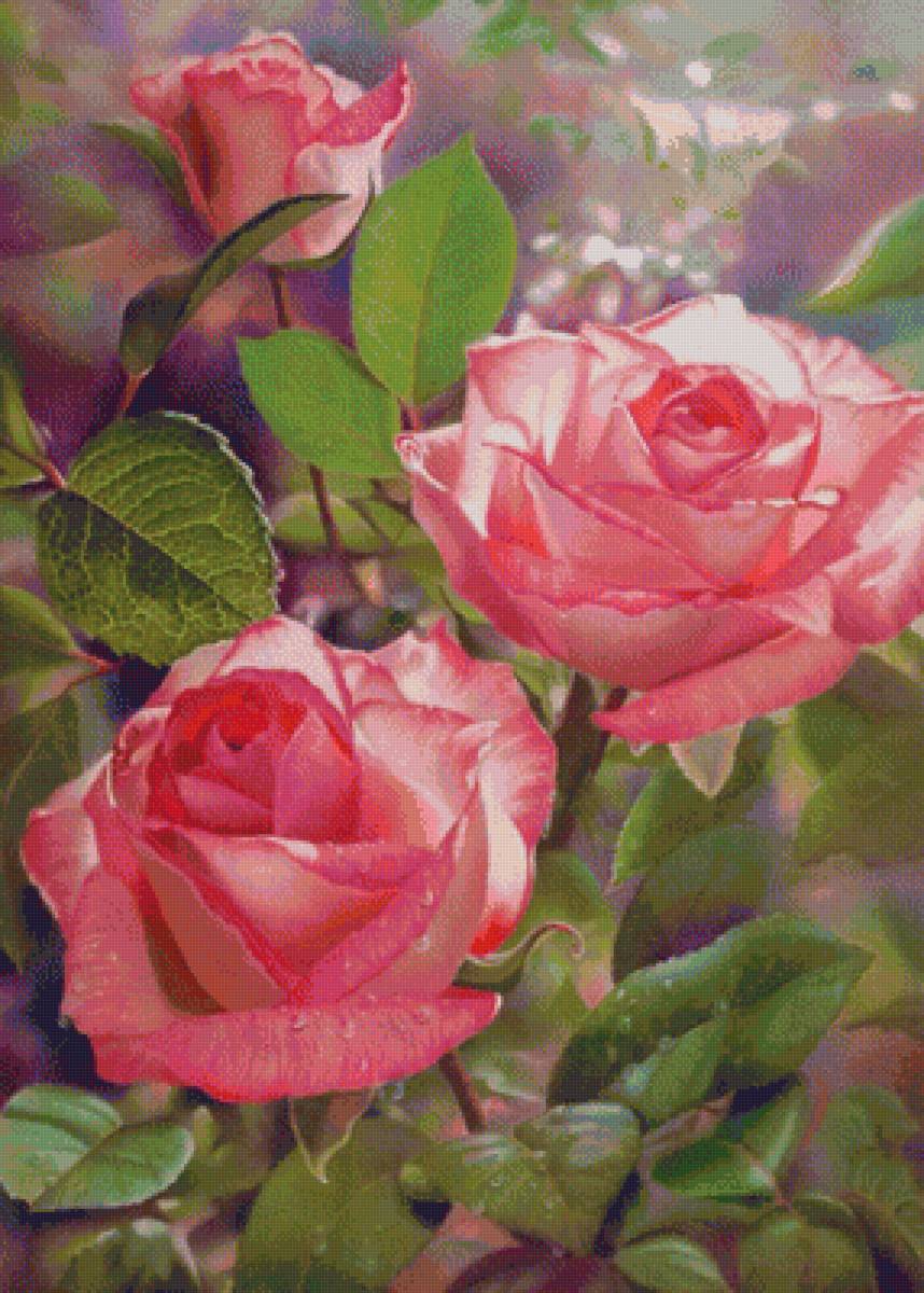 Розы - рисунок, розы, цветы - предпросмотр