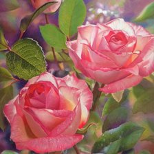 Схема вышивки «Розы»