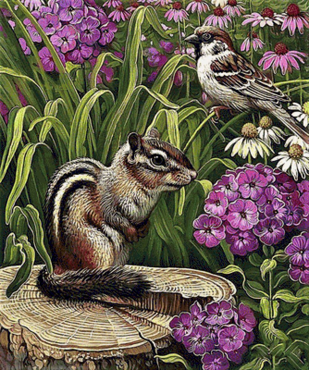 №1887144 - цветы, бурундуки - предпросмотр