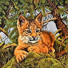 Схема вышивки «№1887149»