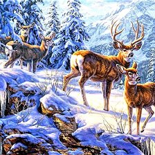 Схема вышивки «№1887262»