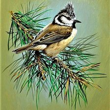 Схема вышивки «№1887267»