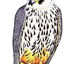 Схема вышивки «№1887271»