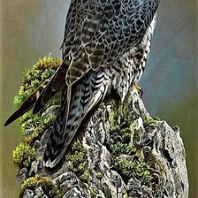 Схема вышивки «№1887272»