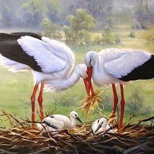 Схема вышивки «Семья аистов»