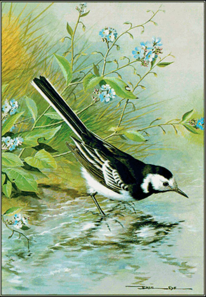 У воды - река, берег, птица, вода - предпросмотр