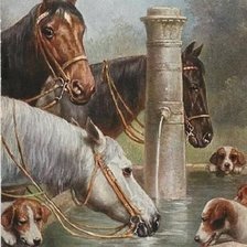 Схема вышивки «napájadlo»