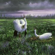 Схема вышивки «Над гнездом»