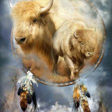 Схема вышивки «Ловец снов»