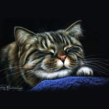 Схема вышивки «Котенок - соня»