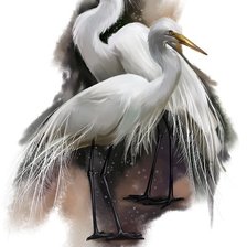 Схема вышивки «Птицы»